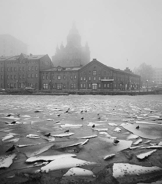 За наши и ваши грехи Финский фотограф гонялся за птицами по всему миру ради мрачных снимков