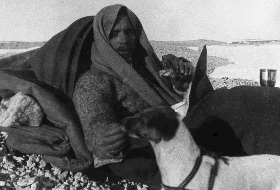«Все кончено!» Весь мир спасал участников самой грандиозной экспедиции на Северный полюс. Как им удалось выжить?