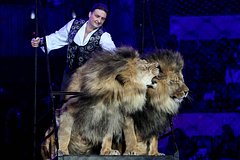 Запашный жестко ответил на вопрос о запрете животных в цирке